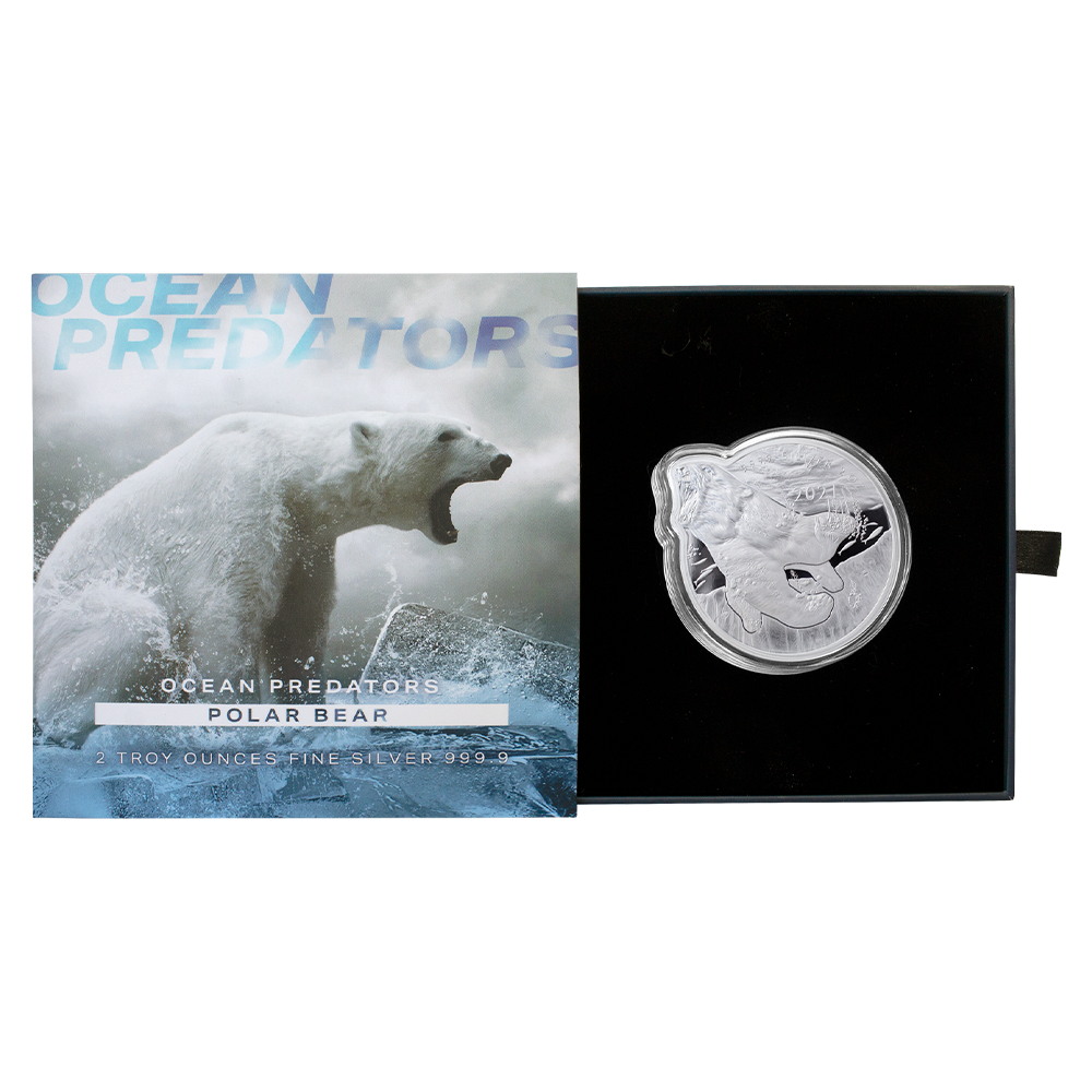 【中古】 Polar Bear / Peepers Peepers | Polar Bear